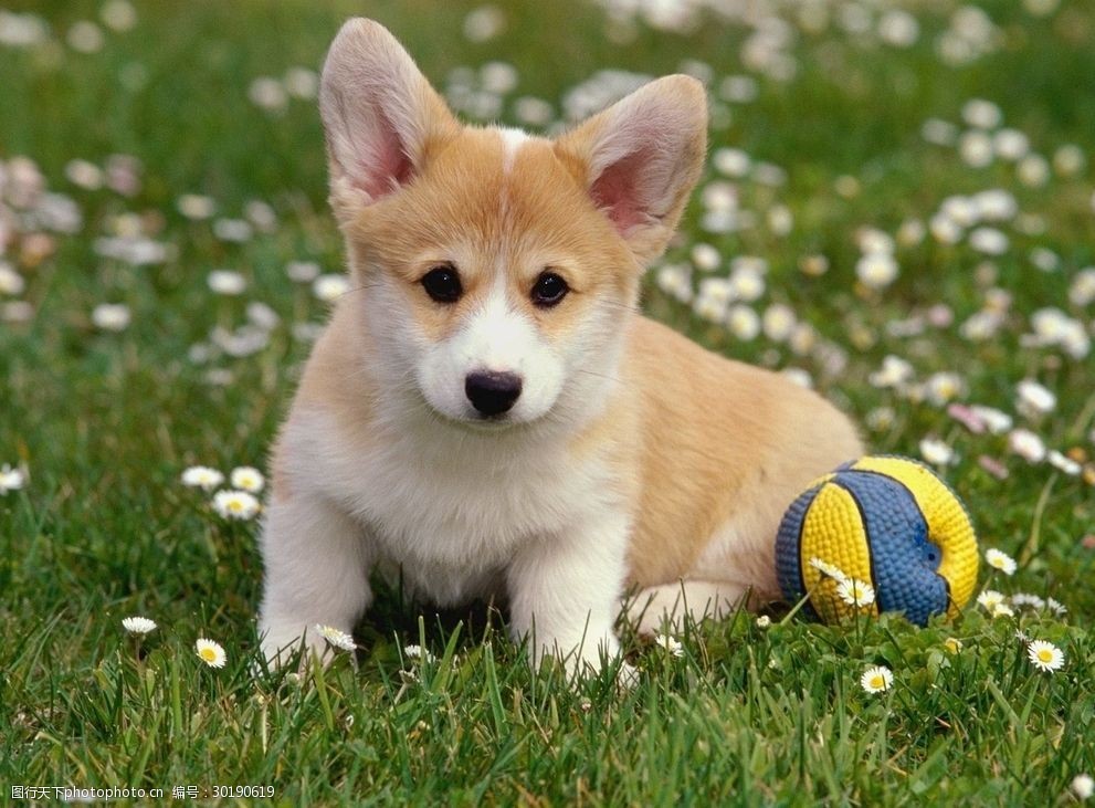 盘点6种不可思议的“异食癖”,盘点十种奇怪的异食癖