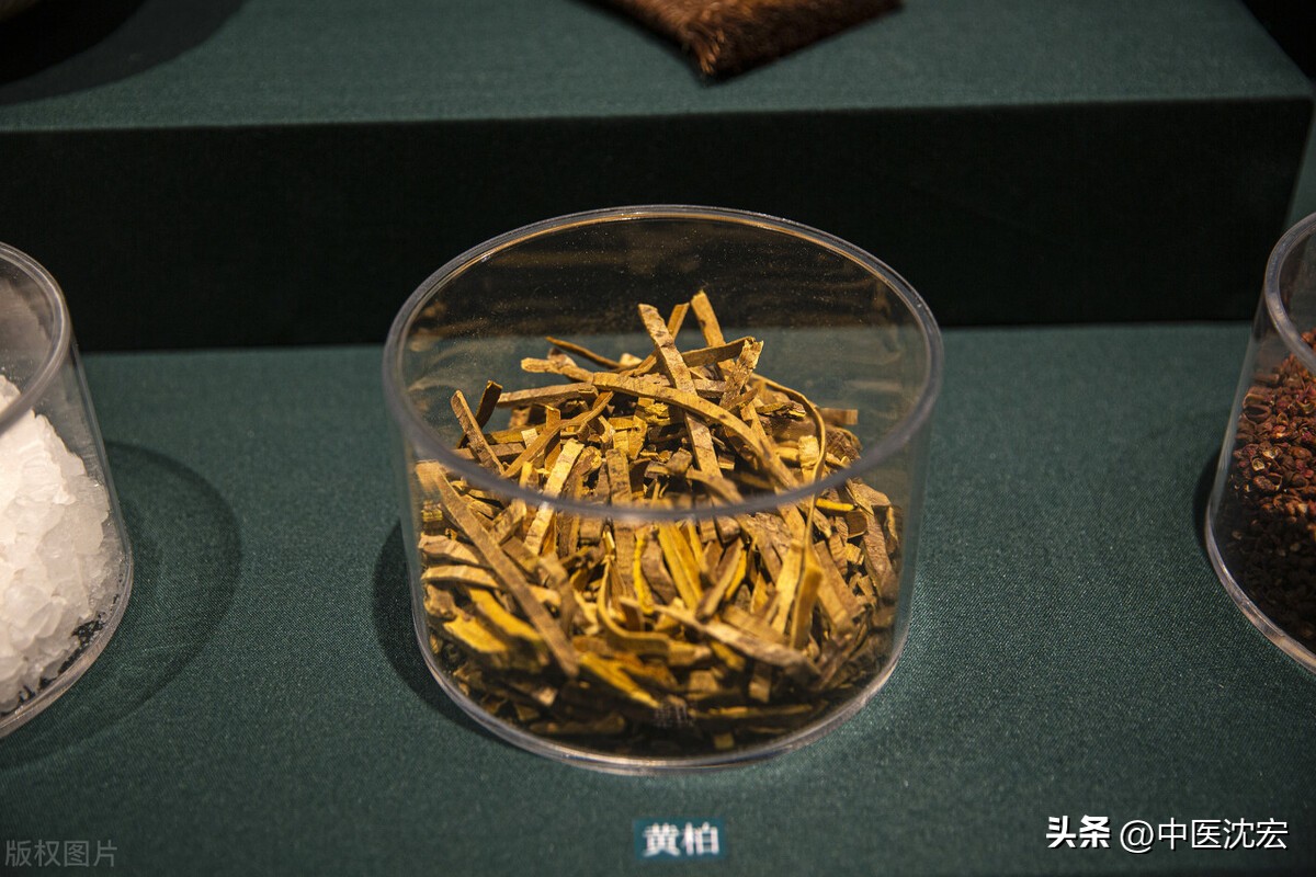 咽炎支气管炎肺炎中药处方,胃炎咽炎气管炎中药方