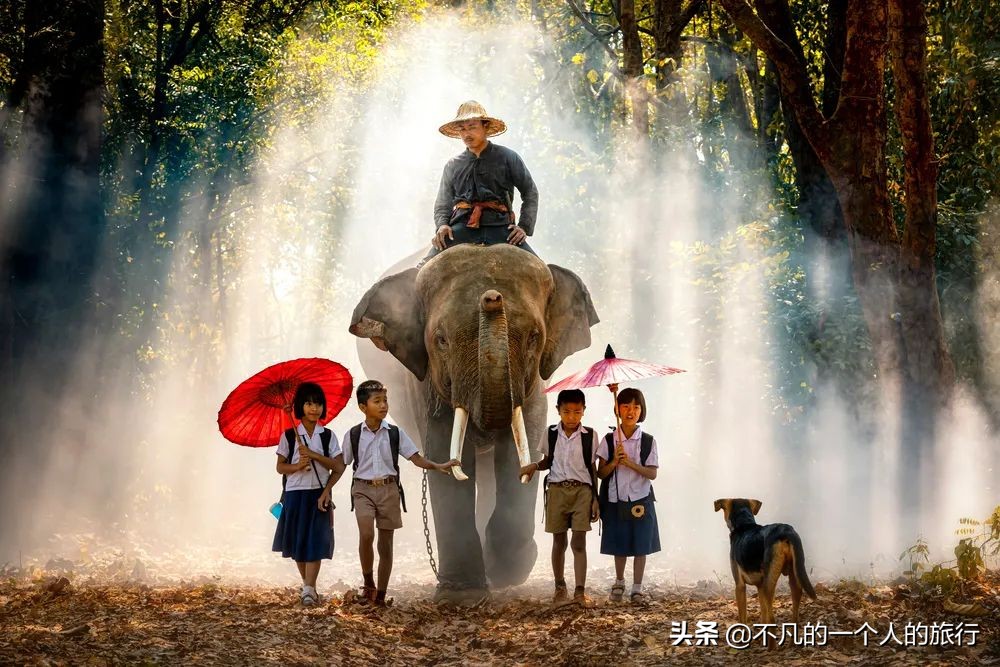 等疫情结束的优美句子,等疫情结束你最想做什么