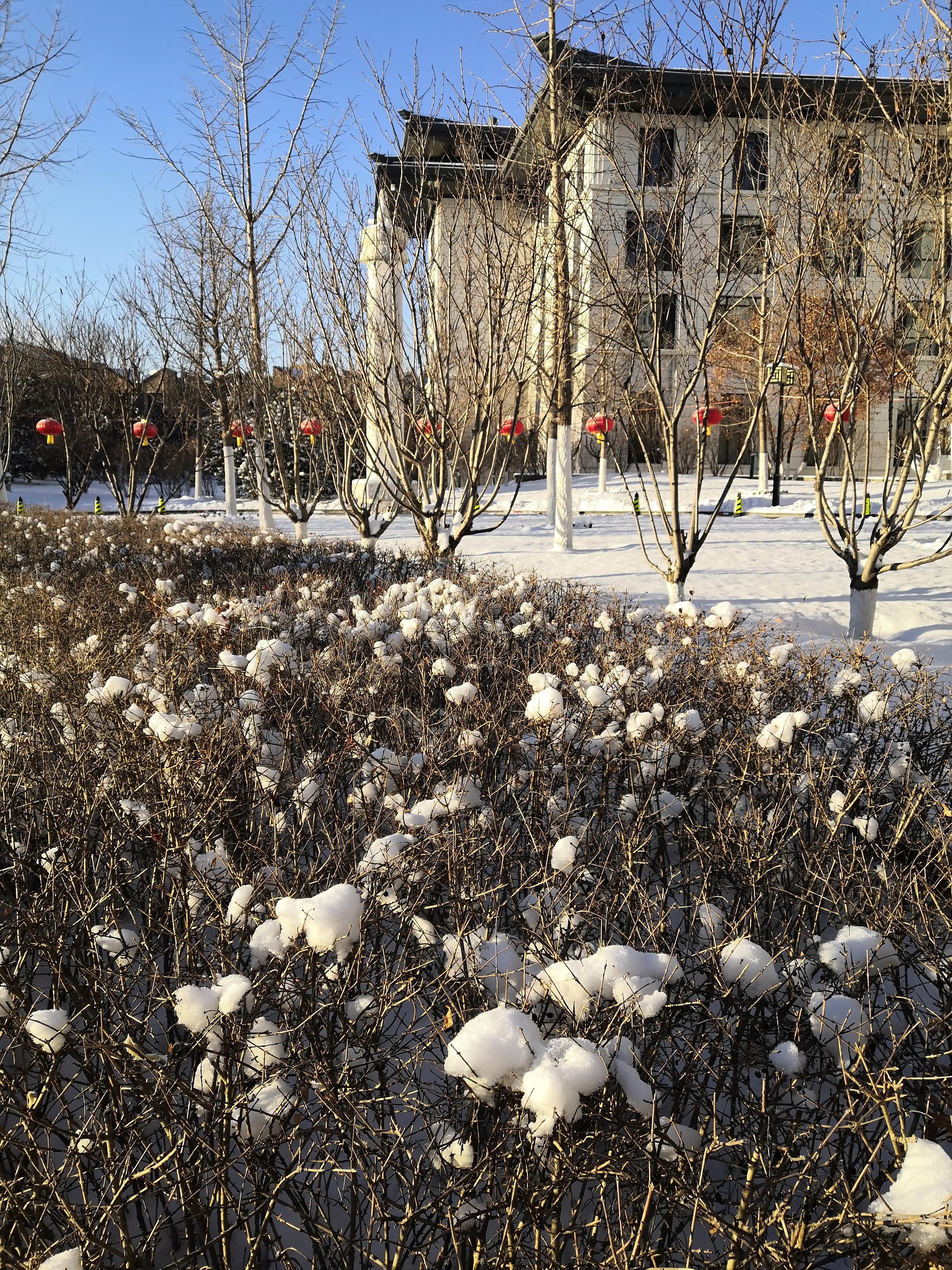 受不了踩雪咯吱咯吱的响声,踩雪地咯吱咯吱的声响