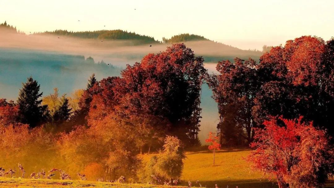 爱情交友宣言最吸引人句子,女生交友宣言语音