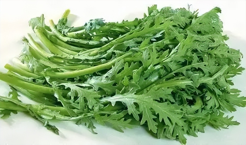 浙江人常吃的蔬菜有哪些,幼儿园常吃的蔬菜有哪些