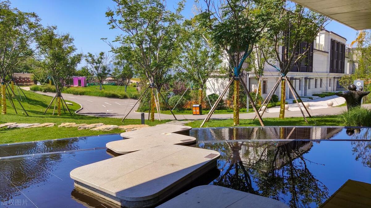 园林绿化养护一般包含哪些内容,园林绿化属于什么经费