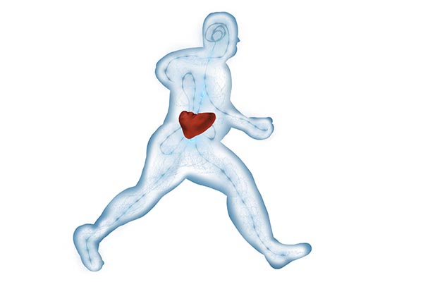 为什么说脾病不好治,脾是后天之本养生先养脾