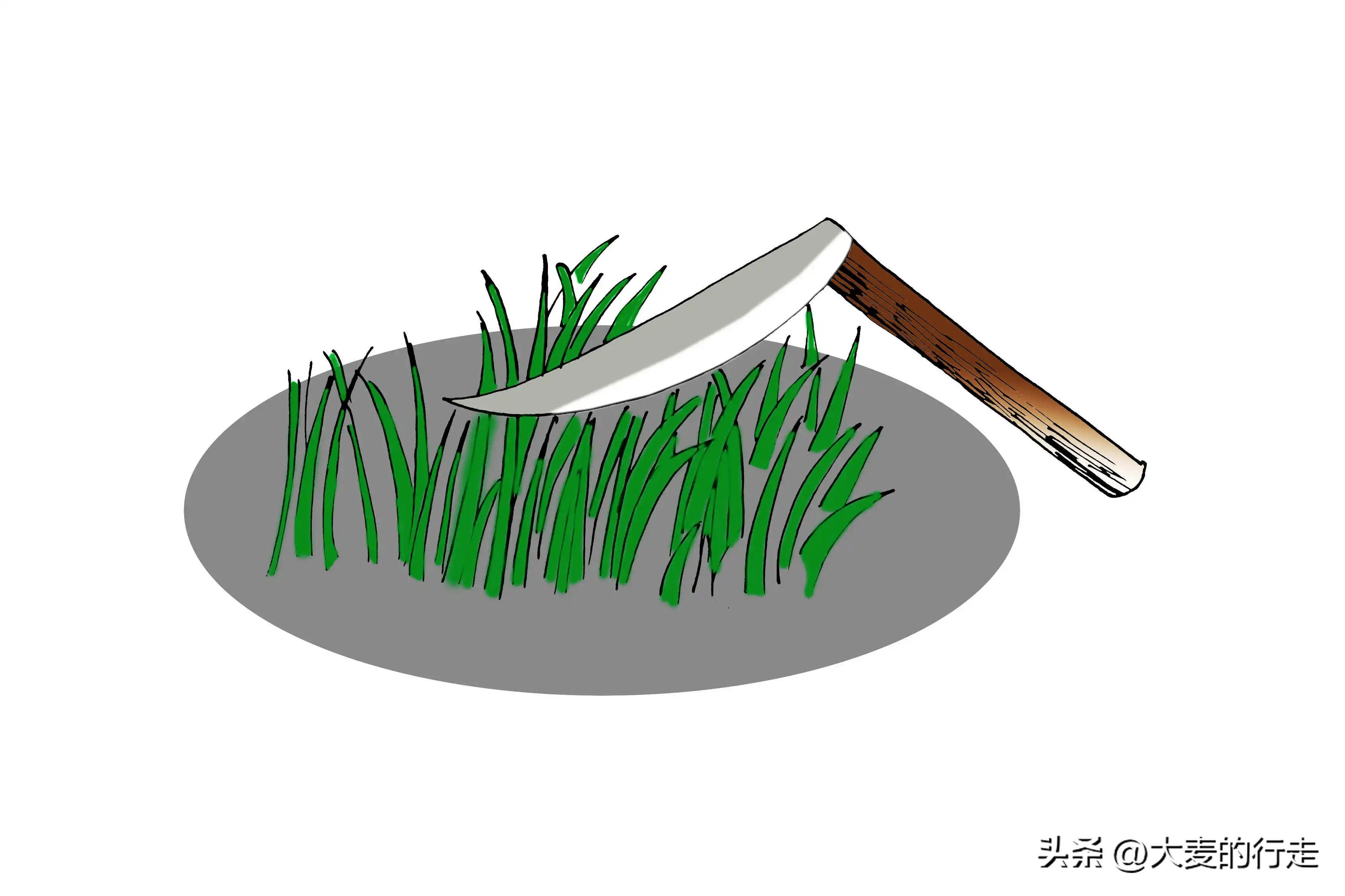 以岭药业连花清瘟通过美国fda,连花清瘟在美国的使用情况