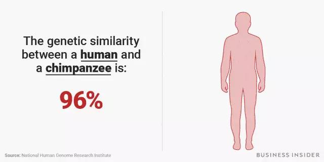 人类进化体毛为什么保留,脱毛血泪史解说