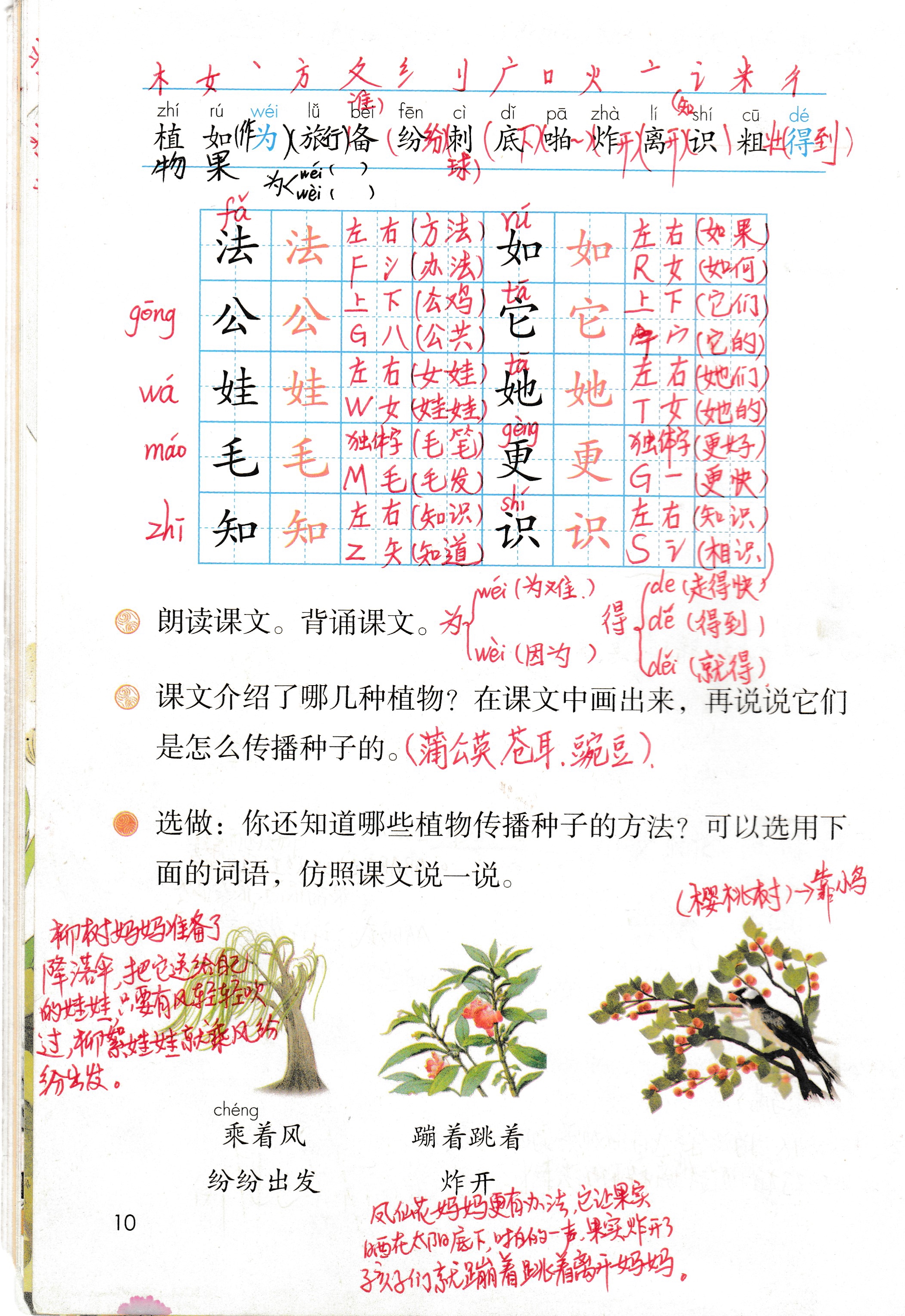 二年级第三课植物妈妈生字组词,植物妈妈有办法二年级上册词语