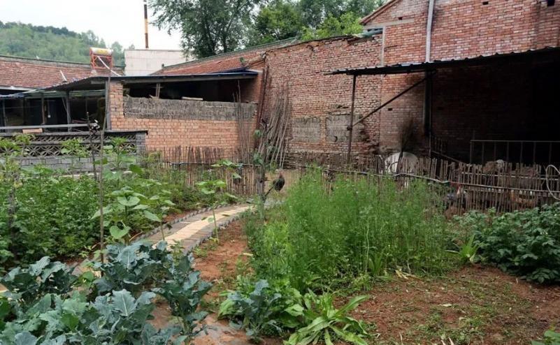 婆婆被害儿媳失踪,婆婆媳妇被杀案