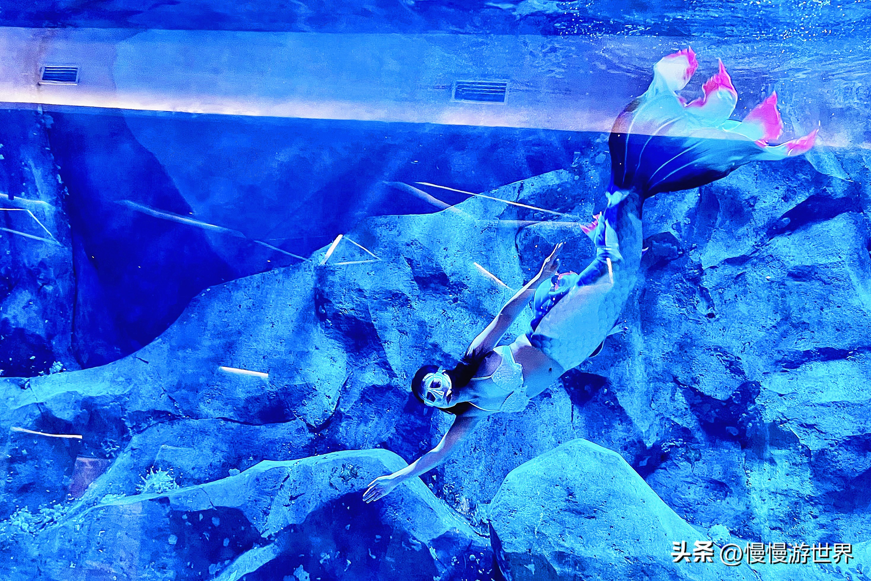 洲际酒店中式婚礼,上海佘山世茂洲际酒店活动