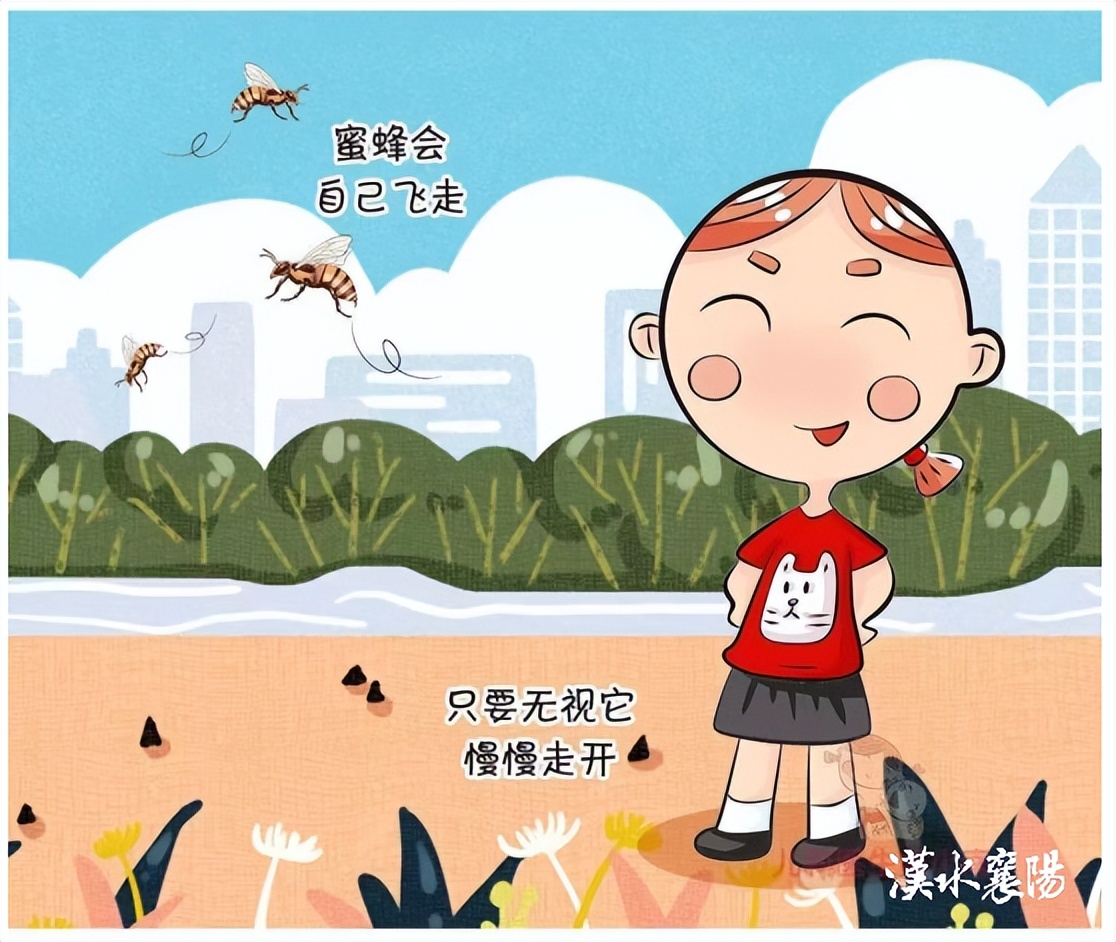 第1健康丨被“勤劳园丁”蜇伤，牢记4个急救原则