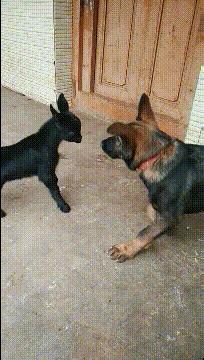 女朋友说她不能穿比较紧的衣服，我瞬间就懂了，效果原来是这样的