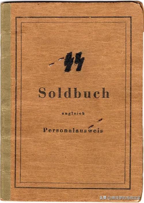 二战时德国军人的肩章,二战德国兵种领章