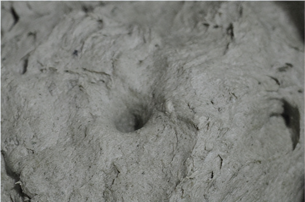 别嫌它味重，却是“大姨妈”的好朋友，清明后鲜嫩上市，抓紧吃