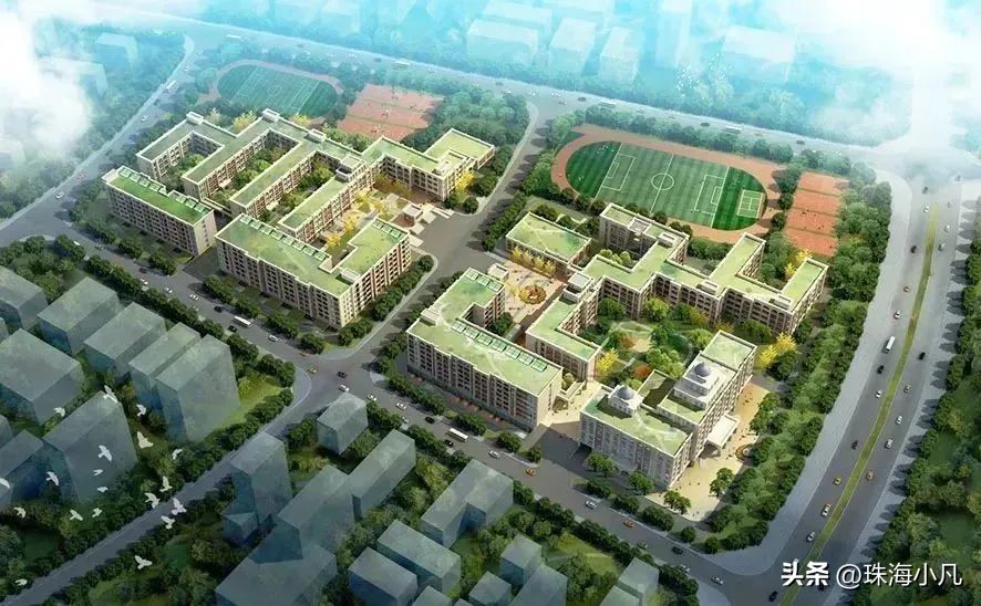 珠海大行动最新消息,珠海最新大事