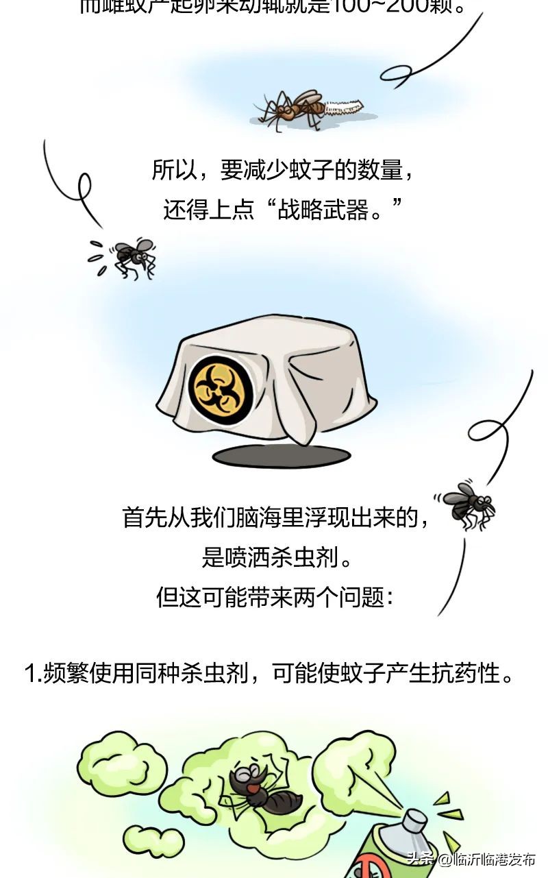 蚊子太毒怎么处理,彻底绝杀蚊子的妙招