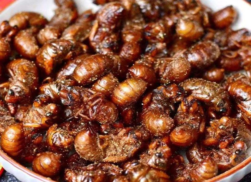 农村的五大怪象看看你知道吗,盘点河南十大怪菜