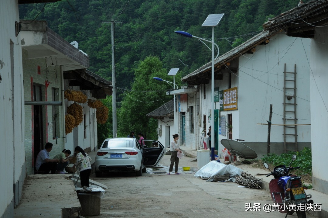 西安秦岭沣峪口夏季避暑去处,西安秦岭沣峪口附近哪里凉快