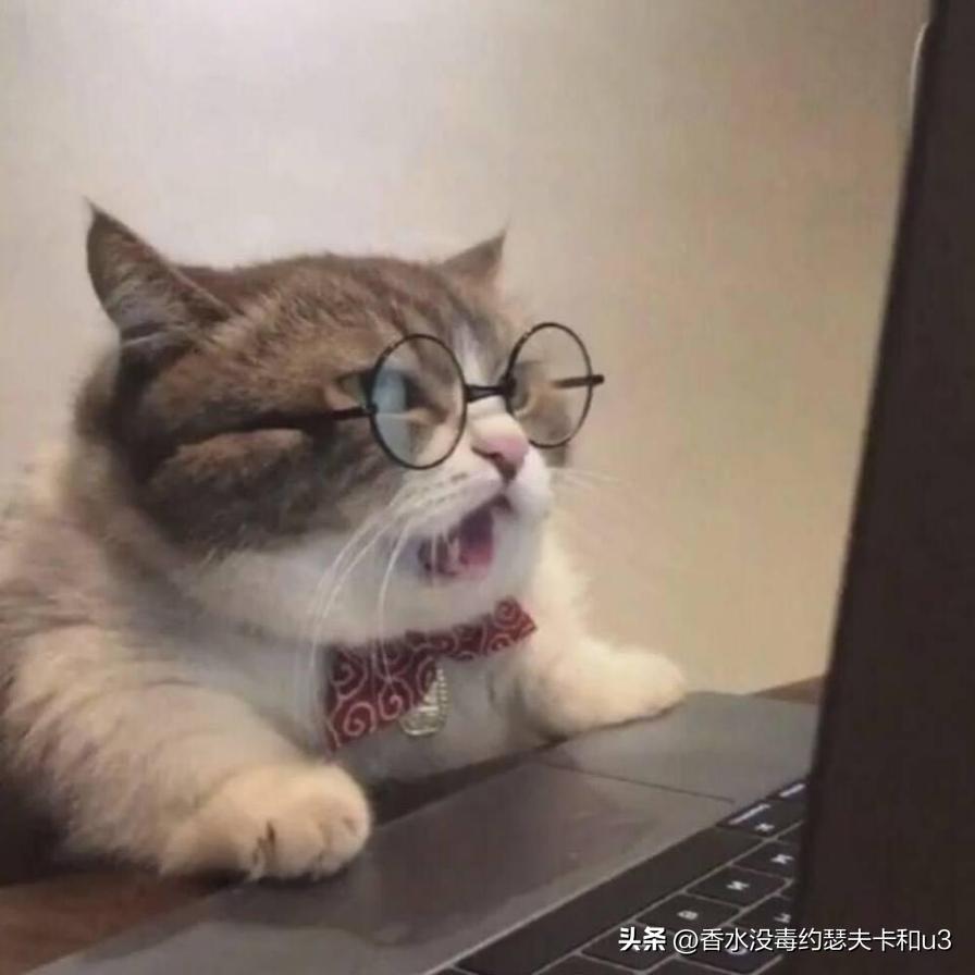 三大网红香水,十大网红香水值得入手吗