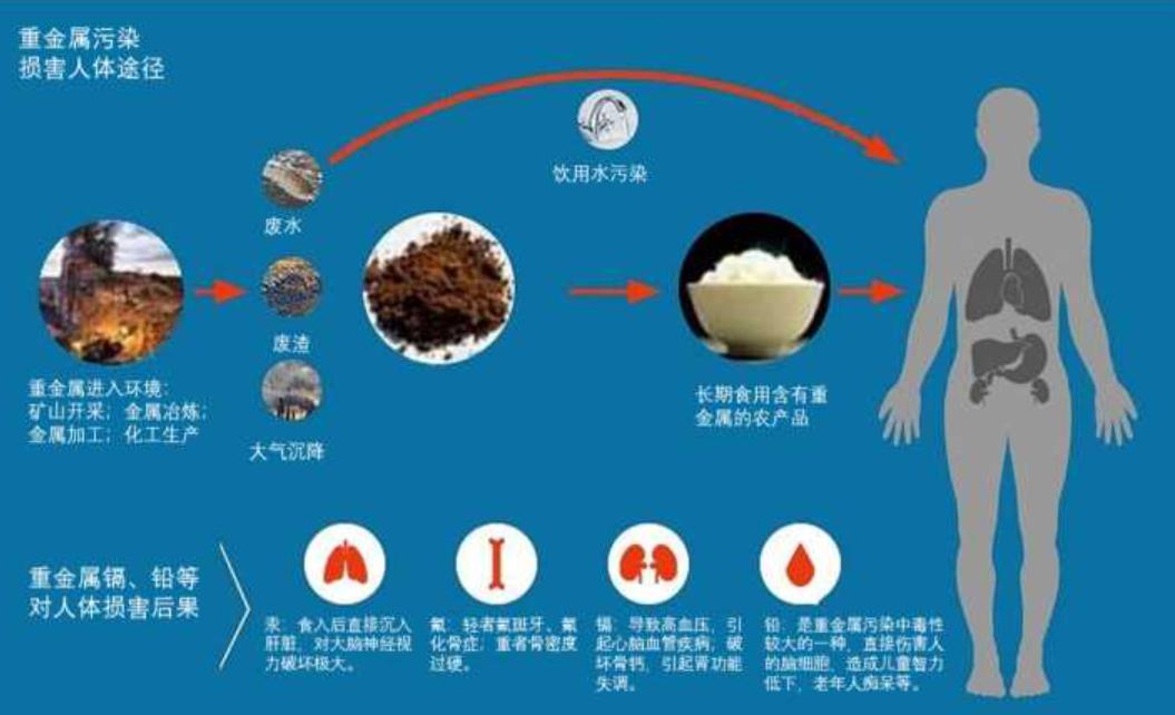 人死后的骨灰可以分几份存放吗,骨灰下葬多年后会变成什么