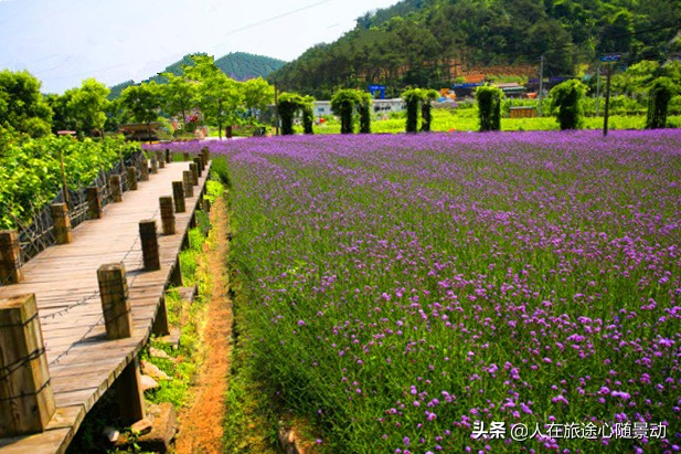 义乌也有好玩的地方,义乌好玩不需要门票的地方