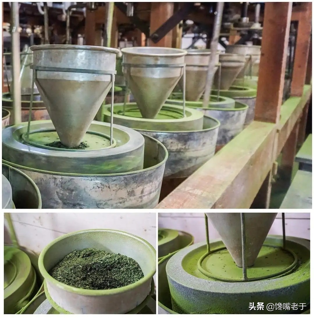抹茶是用什么植物做,抹茶是什么做的香精