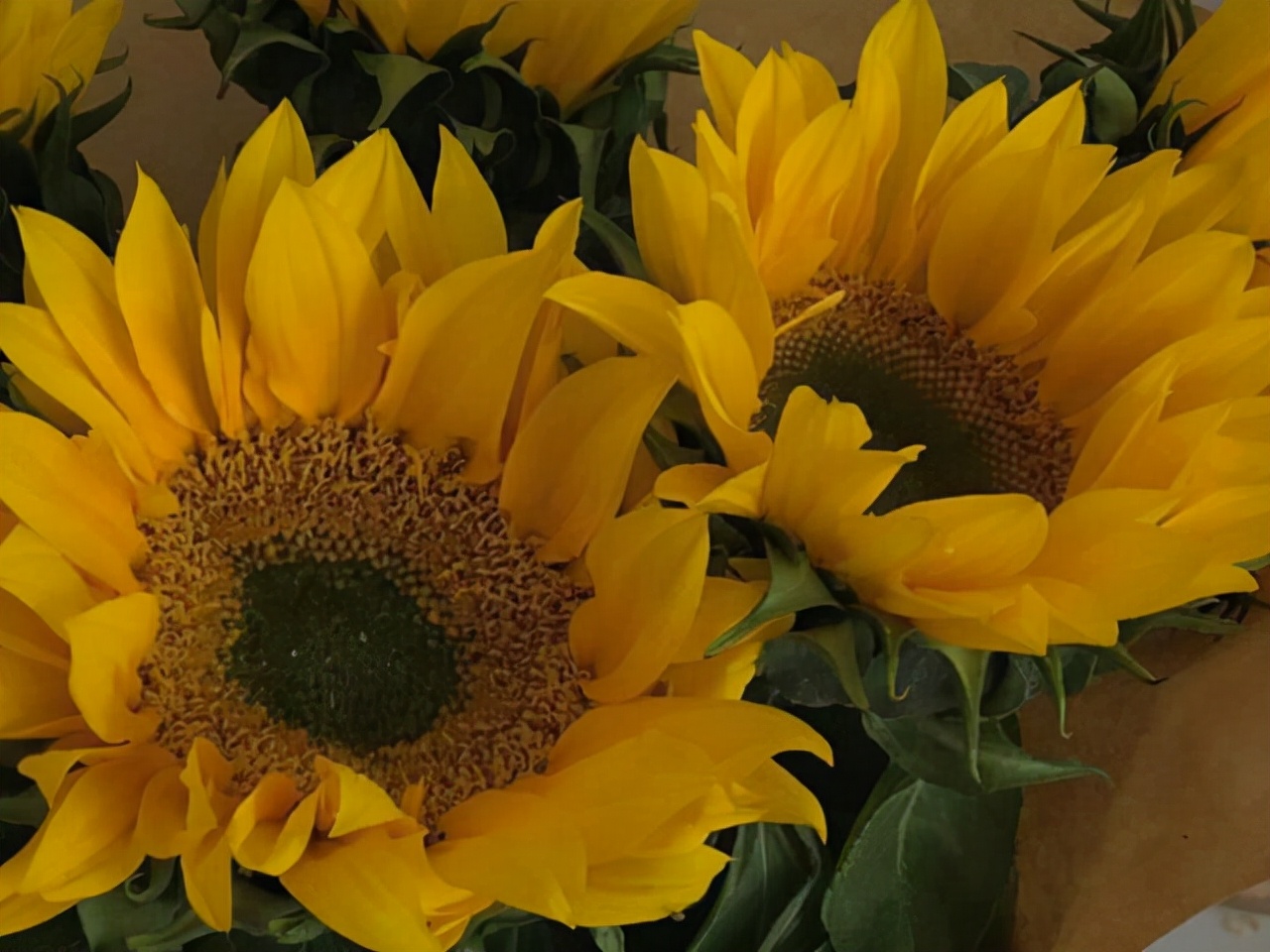 水瓶座的潜力,水瓶座能力排第几