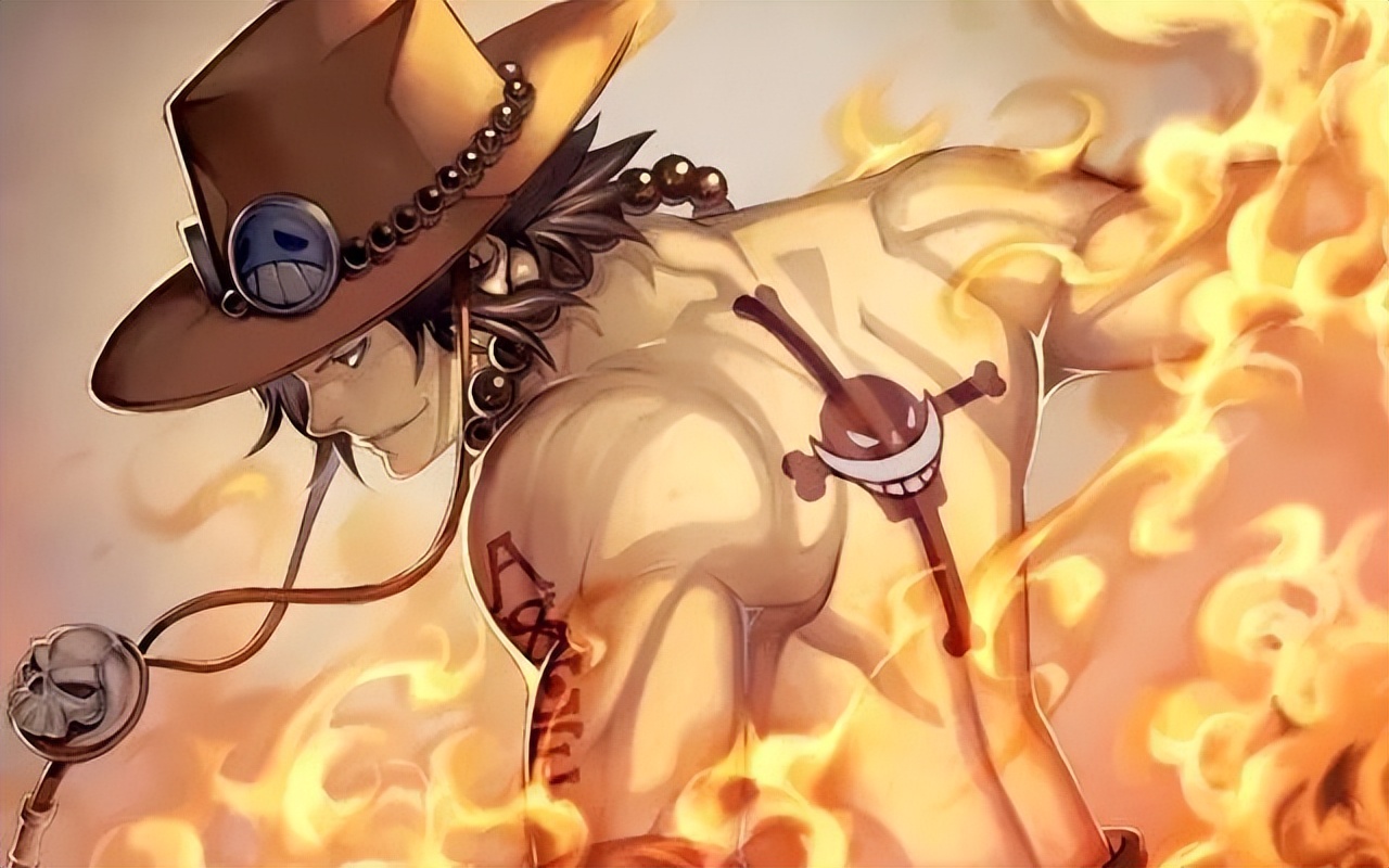 十二部海贼同人文，海贼王/同人/系统/穿越，都是经典同人小说！