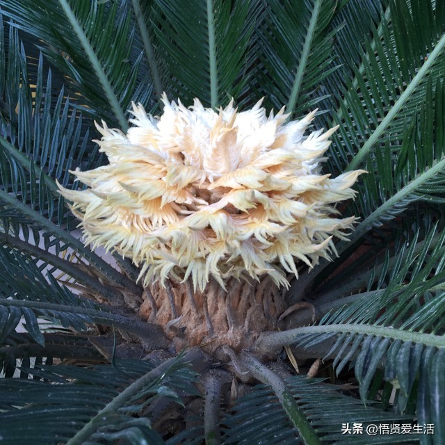 打破一切迷信,打破躲春封建迷信