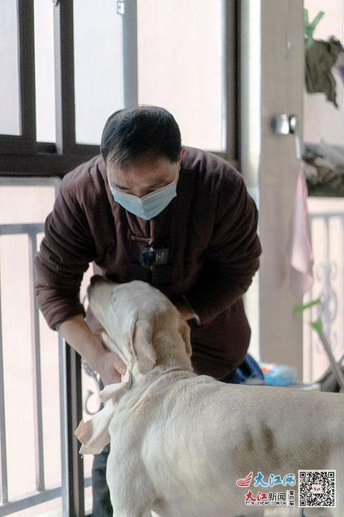 世上第一只导盲犬,一只合格导盲犬的故事