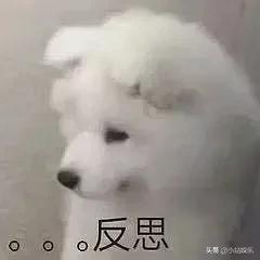 乔欣徐正溪嫣语赋首播好评,乔欣徐正溪茶艺夫妇