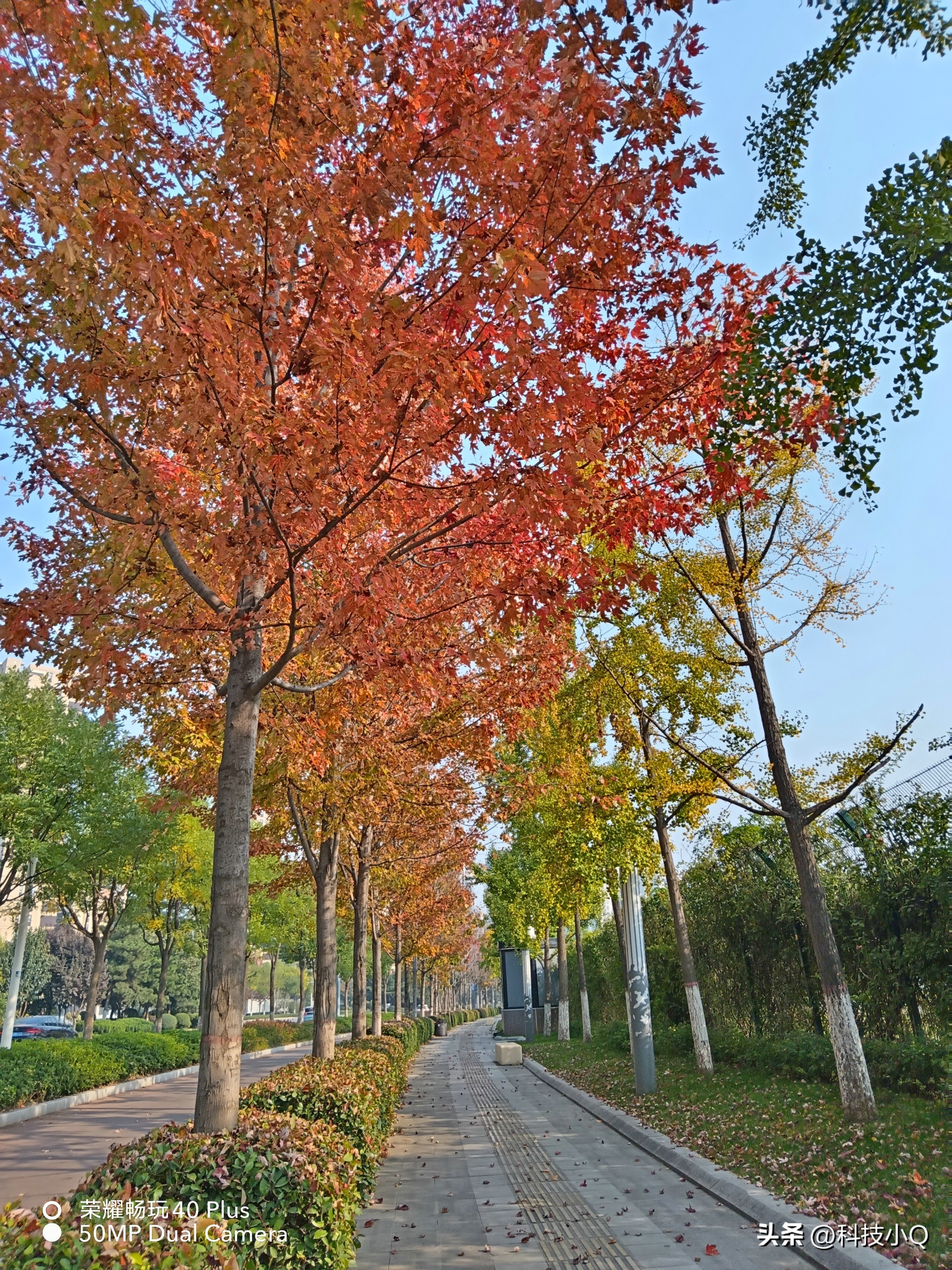 荣耀畅玩40plus的原神测评,荣耀畅玩40plus有无线充电吗