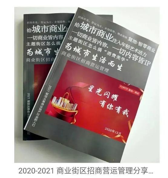 商业地产招商运营总监工作职责,商业地产招商总监需要具备什么