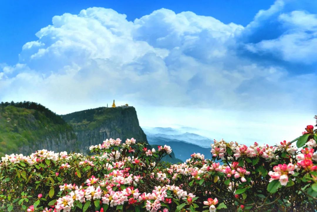 四川成都诗句,家乡四川成都诗句