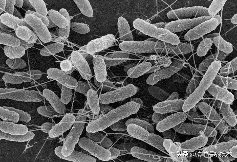 污水池降温措施,污水生化池怎么降温的