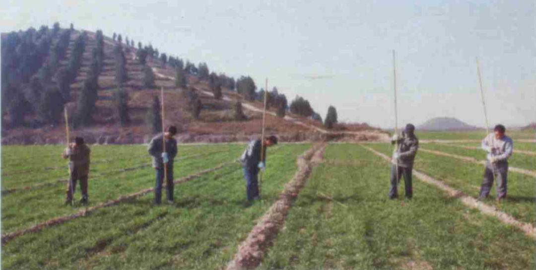 大学读了个土木工程,大学读的我很累很烦