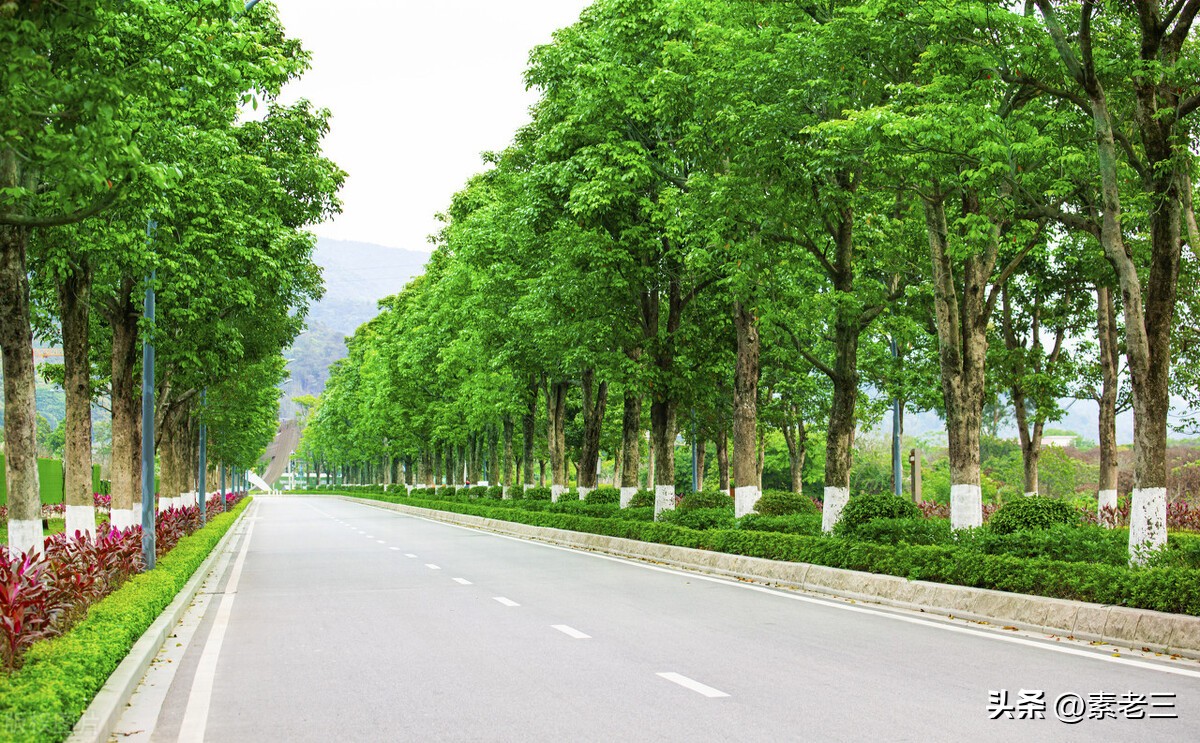 女作家去做保姆173,女作家去做保姆906