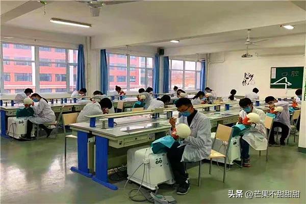 山东莱阳卫校收转校生吗,莱阳卫校2023年招生简章