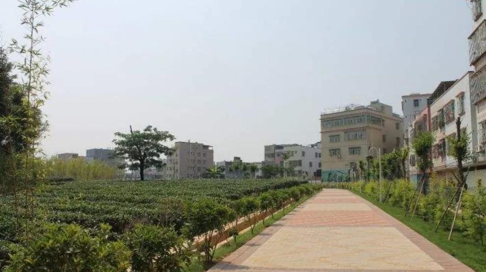 潼侨的房子升值潜力怎么样,潼侨商品房上涨趋势