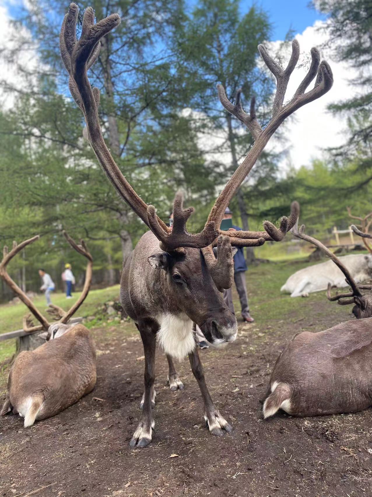 走过*疆新**、内蒙、*藏西**,才知道云南旅游是老天爷赏饭吃了