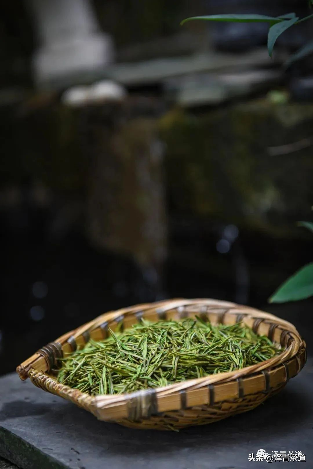 中国茶叶第一产茶大省,陕西中国茶叶第一大省