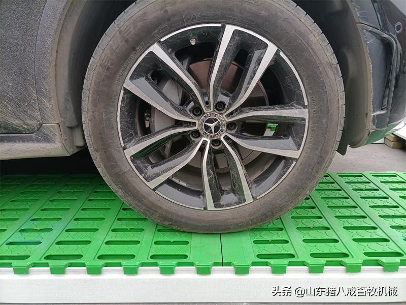 内蒙古欧式双体母猪产床,欧式产床的优势