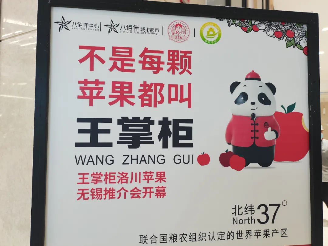 一起来看美丽的淀山湖,一起来看苏州京杭大运河