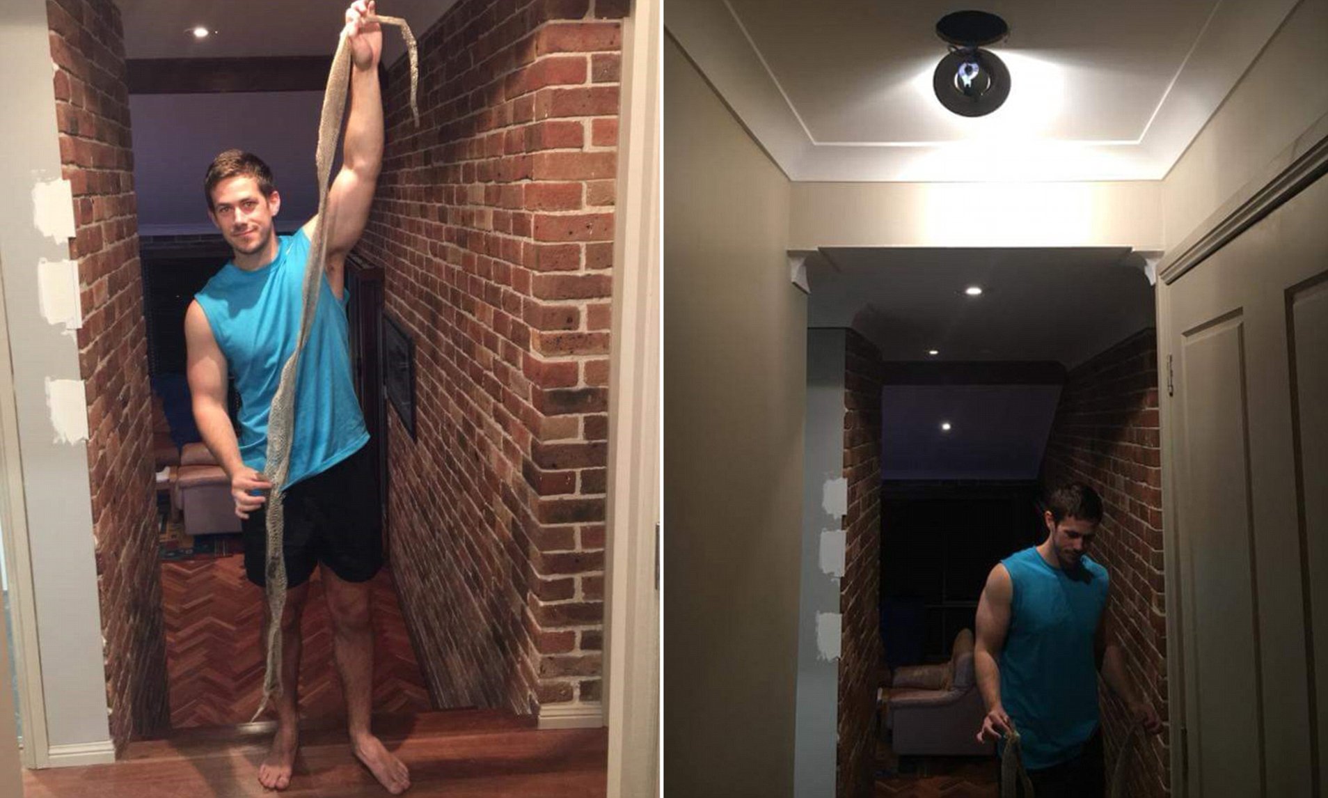 一男子发现蛇窝,挖蛇窝发现30条蛇