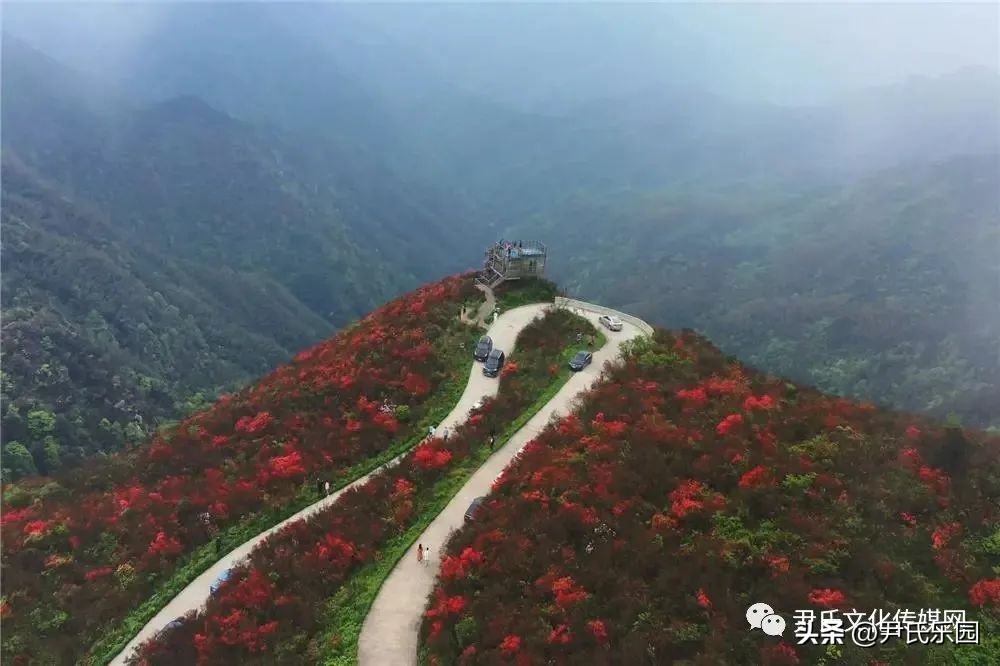 和美阳明·盛世花开：天下第一“和山”