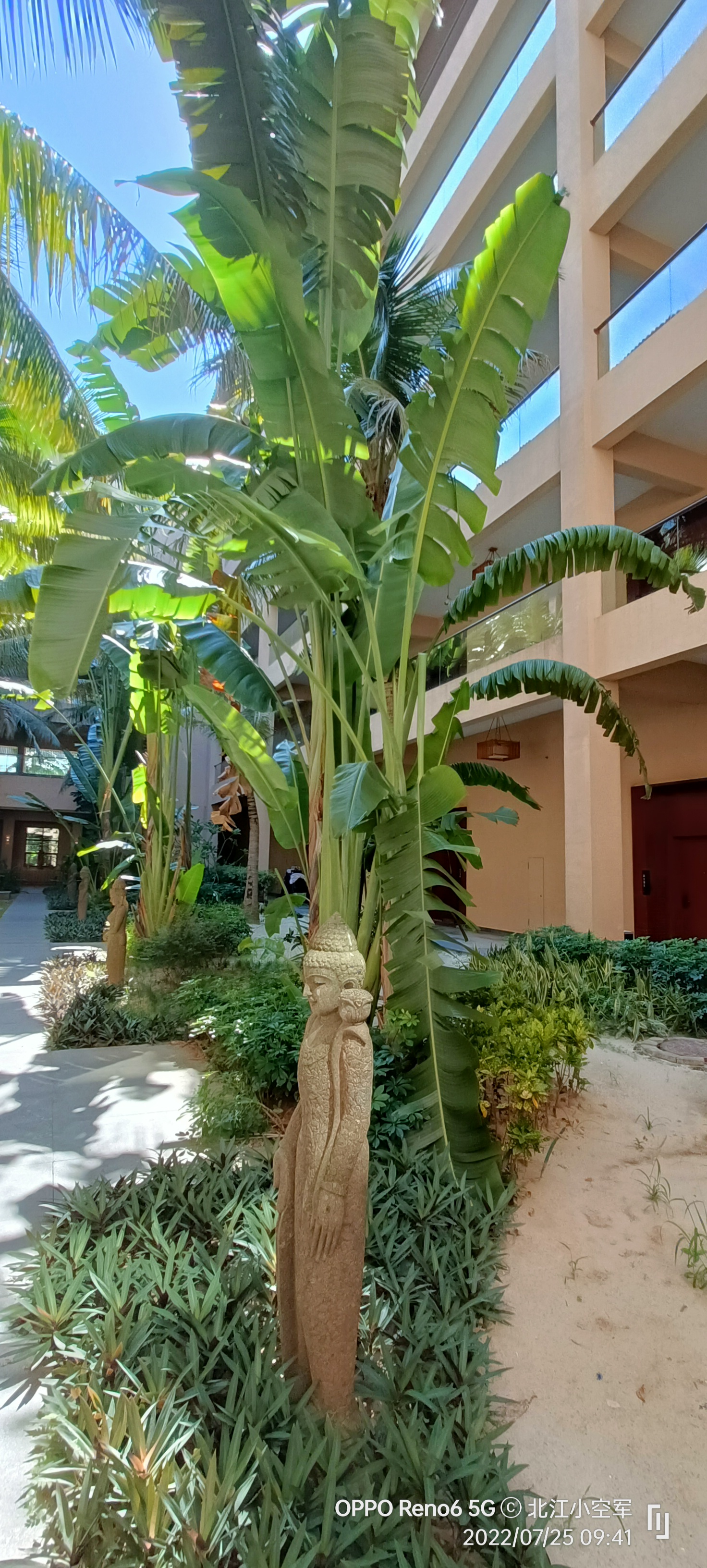 茂名到浪漫海岸专线车,茂名浪漫海岸介绍