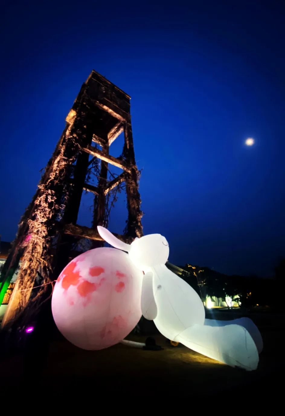 打卡超大萌兔、放水灯……纺织谷上元市吉超多惊喜等你来发现！