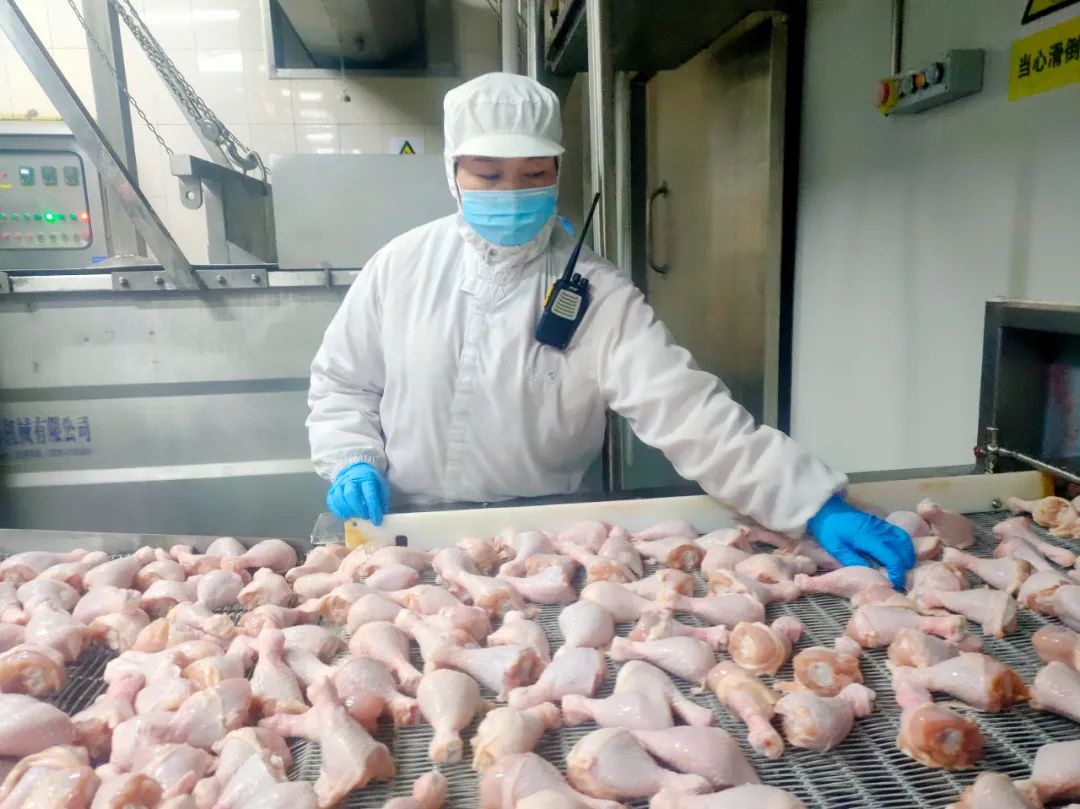 标杆·中慧|铭基中慧食品张爱娟：着眼细微前行不息