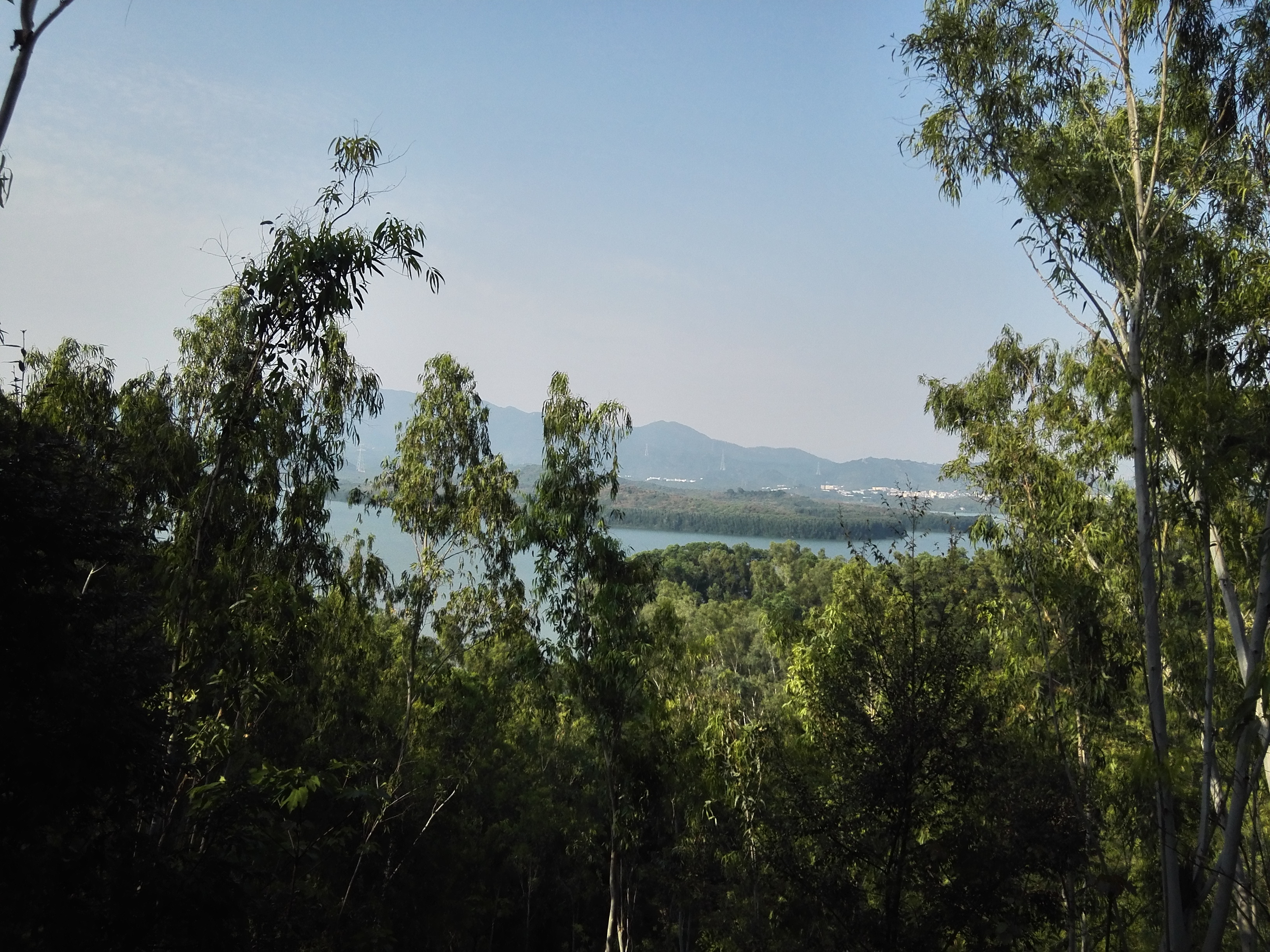 西丽水土保持科技示范园要预约吗,西丽水库水土保持示范园