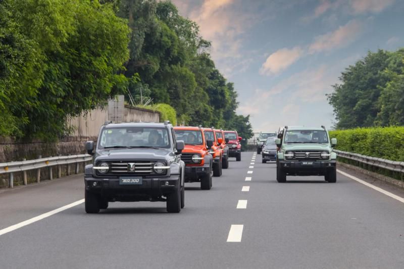 坦克300俄罗斯上市,坦克300在俄罗斯落地价