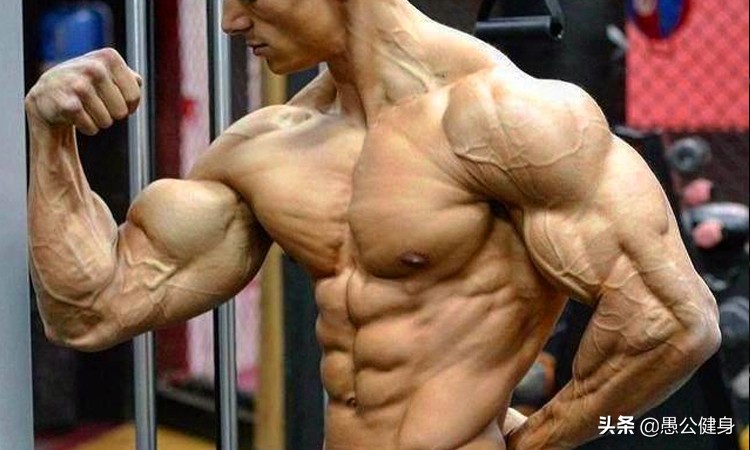 如何让上臂肌肉变大,怎么练上臂变粗壮
